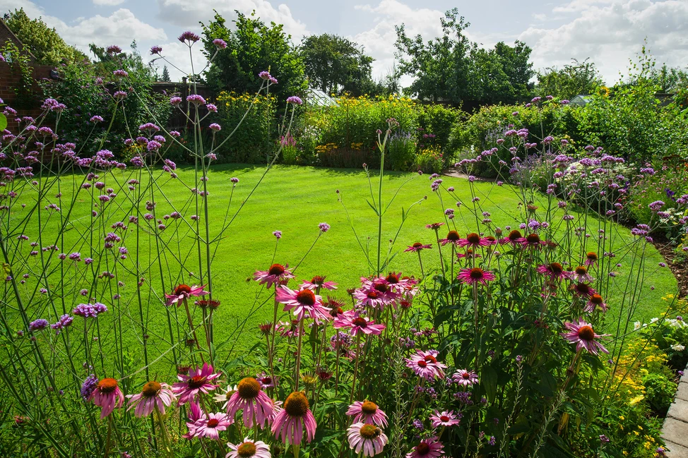 Beginner gardening tips - Get to know your garden